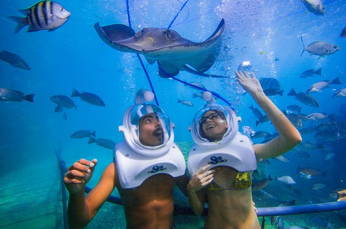 Sea Trek Underwater Walk in Tenerife – No Swimming Required - Photos and videos: what’s included vs what you’ll pay for