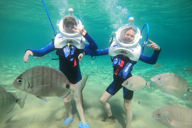 Sea Trek Underwater Walk in Tenerife – No Swimming Required - Price and value: is $102.80 worth it?