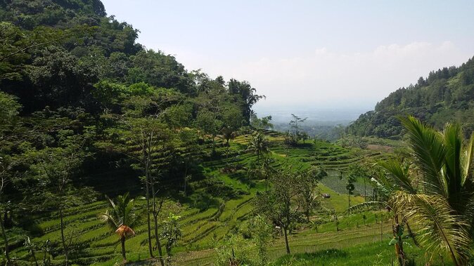 Selogriyo Temple and Trekking Java Rice Terraces, hidden waterfall -Nature Java - Key points that matter before you go