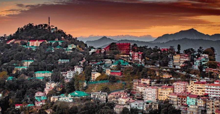 Shimla Nature Walk (3 Hours Guided Trekking Experience) - Key highlights you will feel right away