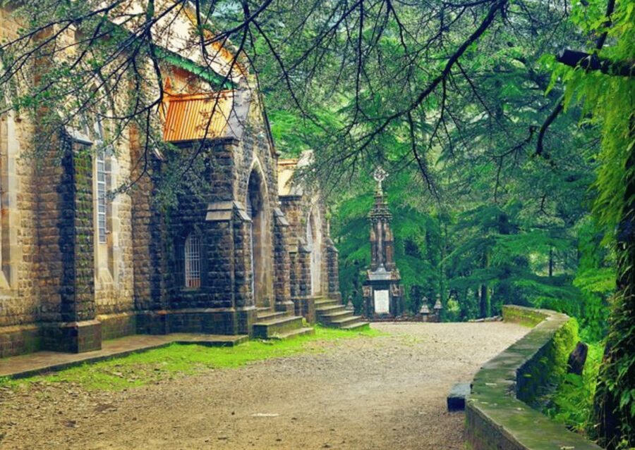 Shimla Nature Walk (3 Hours Guided Trekking Experience) - Practicalities: what to wear and how to make the walk comfortable