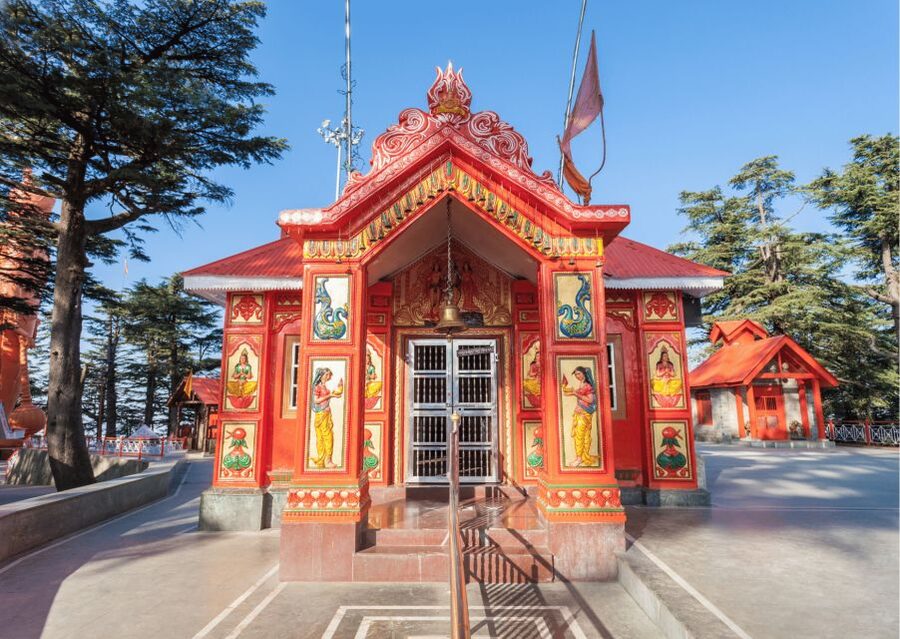 Shimla Nature Walk (3 Hours Guided Trekking Experience) - The guide’s English and Hindi storytelling: why it works on a 3-hour walk