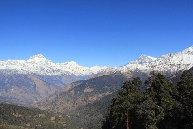 Short Annapurna Base Camp Trek - 7 Days - Lodge Life Through Gurung, Magar, and Tamang Villages