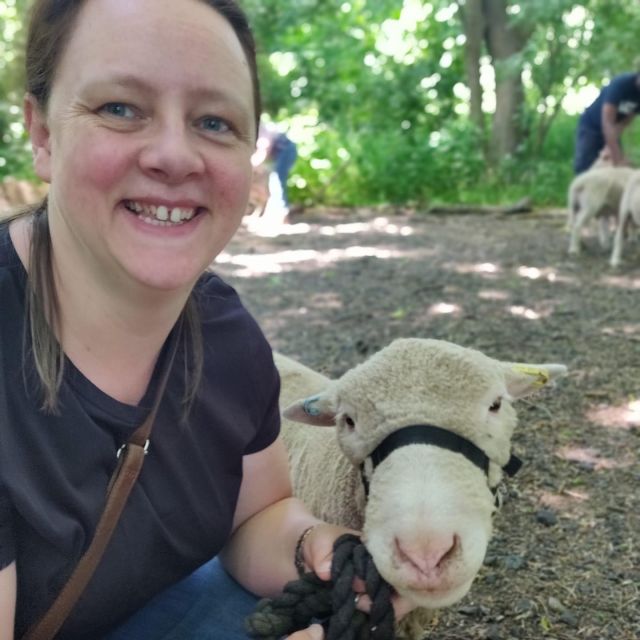 Shropshire: Sheep Trek with the Smallest Sheep in the World - Tiny Sheep Trek Reality Check: What This Is Really Like