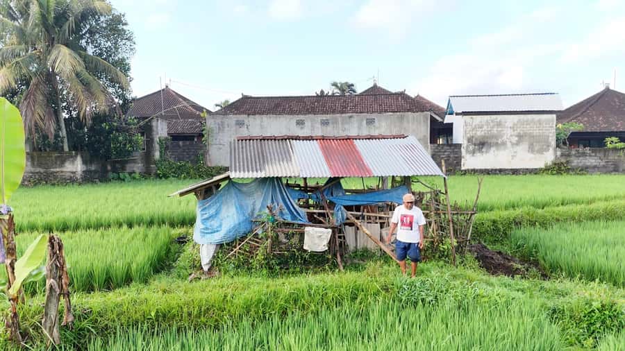 Sidemen rice terraces trek and local village walk - Key things that make this Sidemen trek worth it