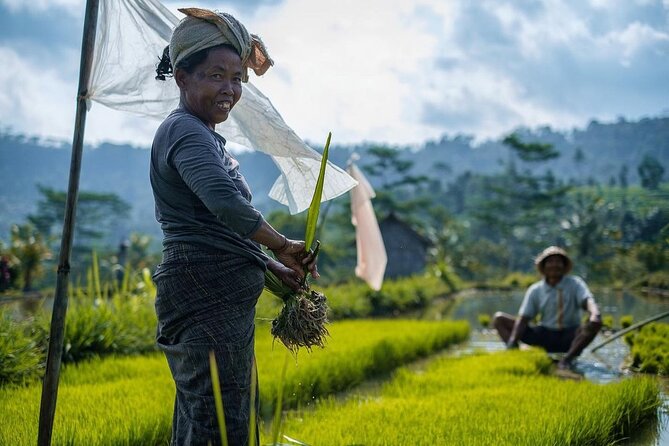 Sidemen Trekking: A Walk from a Different Perspective - Why Sidemen trekking beats the “photo-only” Bali routine