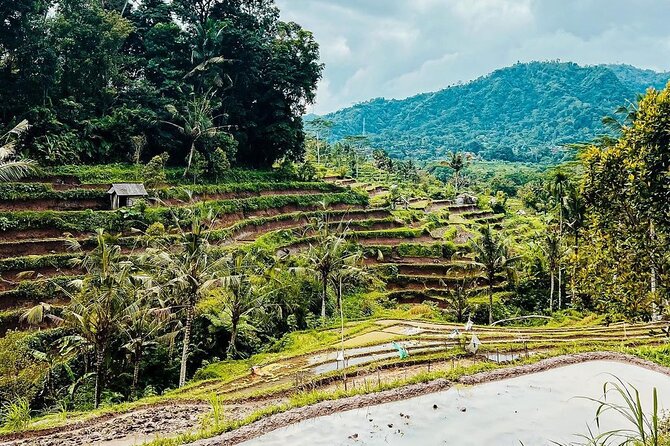 Sidemen Trekking: A Walk from a Different Perspective - How This One-Way Trek Really Flows: Market to Mount Agung Water