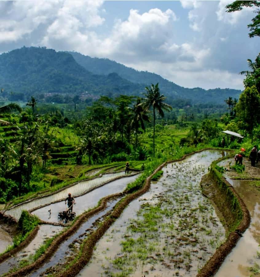 Sidemen Trekking: A Walk from Different Perspective - Sidemen trekking is about perspective, not just scenery