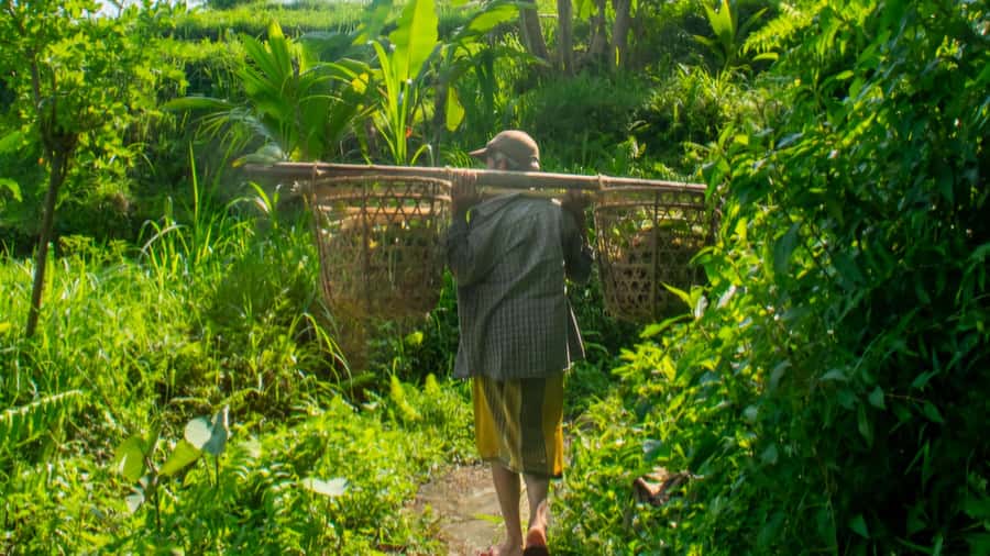 Sidemen Trekking: A Walk from Different Perspective - Price and time: what $14 really buys you