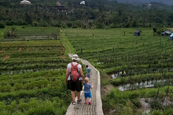 Sidemen Trekking Through Rice Terraces and Villages - Key things to know before you go