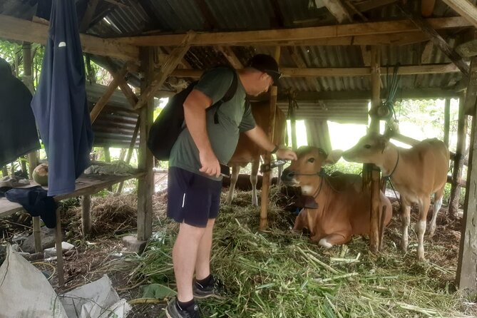 Sidemen Trekking Through Rice Terraces and Villages - Time, price, and value: is $9.80 really fair?