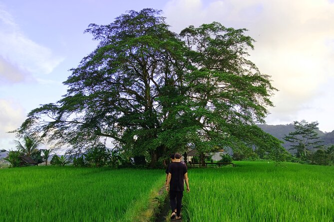Sidemen Trekking with Cultural Encounters and Nature Views - Key highlights worth your time