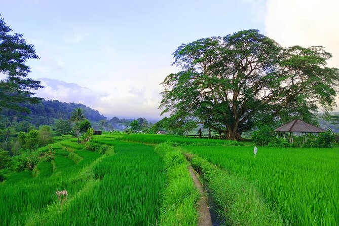 Sidemen Trekking with Cultural Encounters and Nature Views - How the cultural encounters land: rituals, temples, and guides like Gede