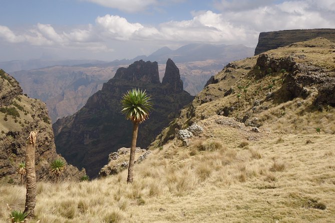 Simien Mountains National Park – 7 Day Trek - Mulit to Adiarkay and back to Gondar: finishing mostly downhill (Day 7)