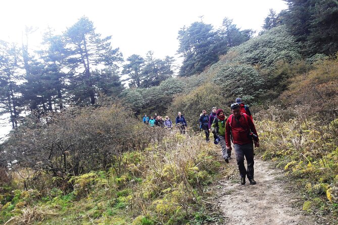 Singalila Ridge Trek from Darjeeling - 6 Days - Day 1: Darjeeling to Gurdum via early drive and your first altitude step