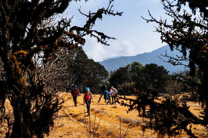 Singalila Ridge Trek from Darjeeling - 6 Days - Day 2: the steep push to Sandakphu and those peak panoramas