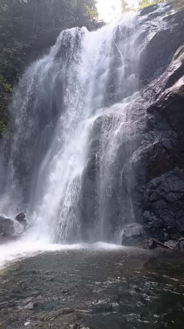 Sinharaja Rainforest: Tour with 5 Waterfalls Trek - Key Highlights Worth Booking For