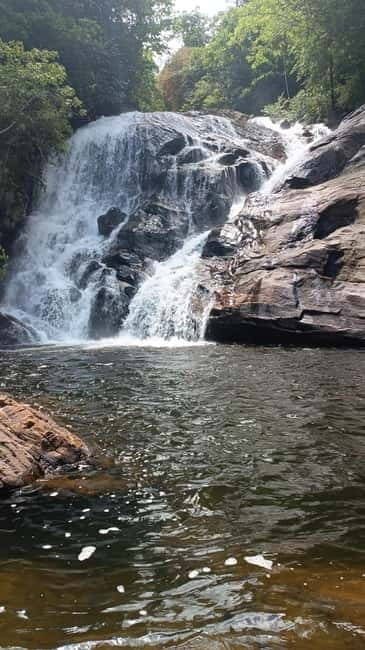 Sinharaja Rainforest: Tour with 5 Waterfalls Trek - Sinharaja Rainforest: A UNESCO Forest Day Built Around Waterfalls