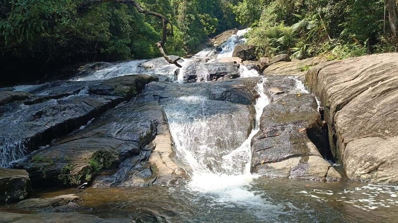 Sinharaja Rainforest: Tour with 5 Waterfalls Trek - The Forest Entry: 30 Minutes of Walking and a 3-Hour Guided Section