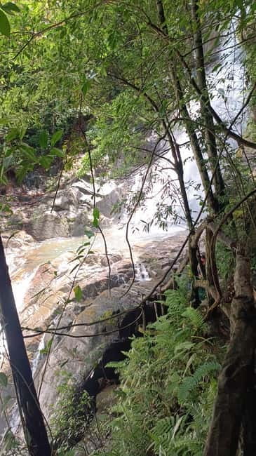 Sinharaja Rainforest: Tour with 5 Waterfalls Trek - Five Waterfalls, One Day: How the Trek “Clusters” the Best Views