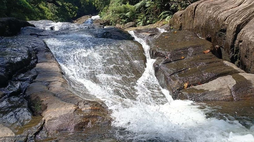 Sinharaja Rainforest: Tour with 5 Waterfalls Trek - Lunch After the Hike: Village Rice and Curry When You’re Ready