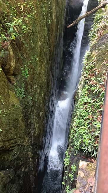 Sinharaja Rainforest: Tour with 5 Waterfalls Trek - Price and Value: What $95 Buys (and What It Doesn’t)