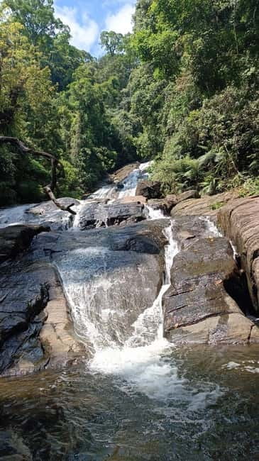 Sinharaja Rainforest: Tour with 5 Waterfalls Trek - Practical Tips to Make the Day Easier (Not Just Possible)