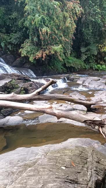 Sinharaja Rainforest: Tour with 5 Waterfalls Trek - Coast Pickup to Duli Ella: The 2-Hour Ride That Sets the Mood