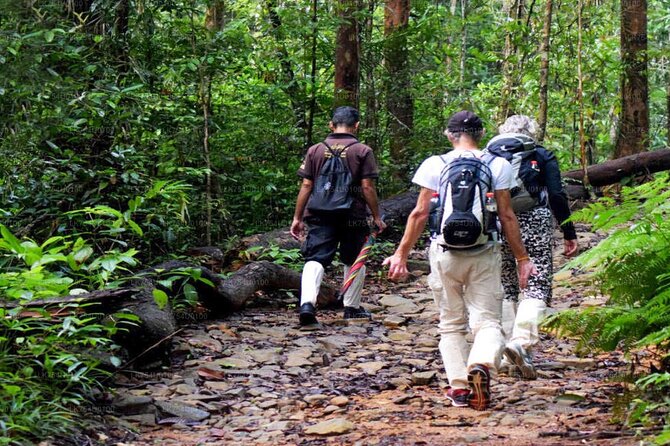 Sinharaja Rainforest Trekking Private Day Trip with Local Lunch - The full day plan: 8 to 10 hours with real time on the trail
