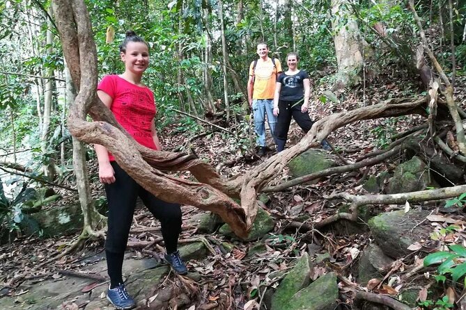 Sinharaja Rainforest Trekking Private Day Trip with Local Lunch - Transfers from Bentota: private comfort with fewer delays