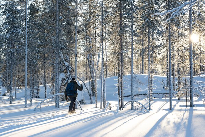 Ski Trek to the Wilderness - Extra Small group - Learning to ski on easy ground without prior experience
