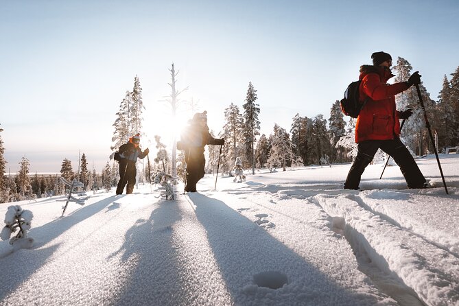 Ski Trekking Safari in Lapland - Getting there from Rovakatu 24: transfers that cut down the hassle