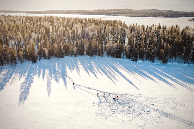 Ski Trekking Safari in Lapland - Avoiding crowds: why private really changes the day