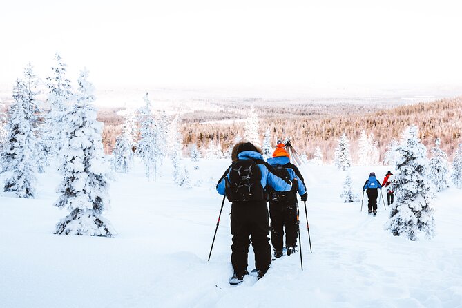 Ski Trekking Safari in Lapland - Guide quality can make or break it