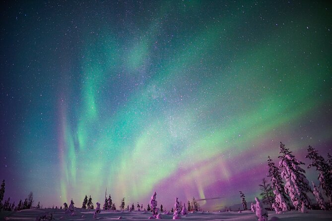 Ski Trekking under the Northern Lights - The 3.5-Hour Rhythm: From Transport to Tepee Fire Warmth