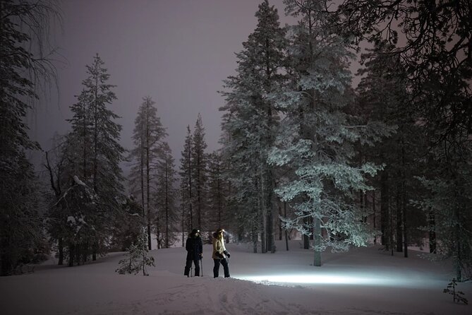 Ski Trekking under the Northern Lights - Price and Value: Is $141.78 Worth It?