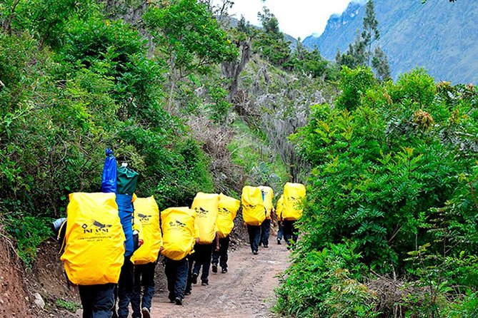 Small Group: 4-Day Inca Trail Trek to Machu Picchu - Day 2: Dead Woman’s Pass, cloud forest, and Pacaymayo relief