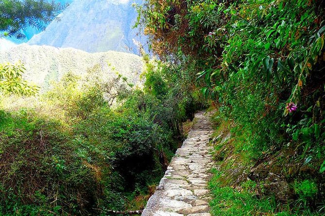 Small Group: 4-Day Inca Trail Trek to Machu Picchu - Day 4: Sun Gate, Inti Punku, and the Machu Picchu terraces you came for