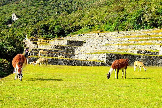 Small Group: 4-Day Inca Trail Trek to Machu Picchu - Gear, altitude, and weather: what you should plan for before Day 1