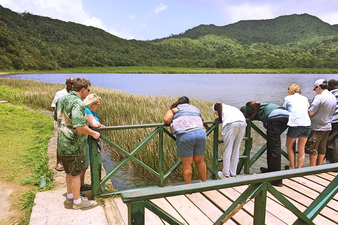 Small-Group Adventure Trek in Grand Etang National Park - Why Grand Etang’s Hike Feels Like More Than a 3-Hour Walk