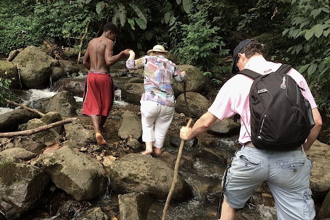 Small-Group Adventure Trek in Grand Etang National Park - The Trailhead Near the Spice Farm: Nutmeg, Cinnamon, and Ginger Up Close