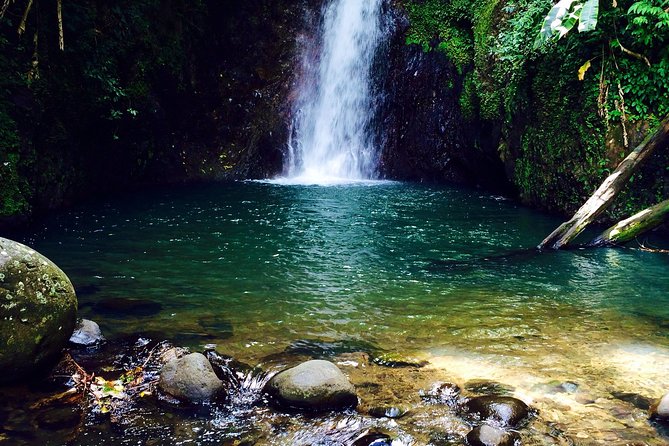 Small-Group Adventure Trek in Grand Etang National Park - Uphill Rainforest Walking: Moderate to Strenuous Means Pace Matters