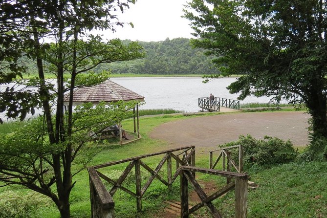Small-Group Adventure Trek in Grand Etang National Park - Wildlife Lookout Moments: What You Can See (And How to Enjoy It)