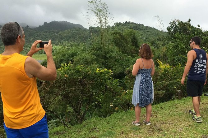 Small-Group Adventure Trek in Grand Etang National Park - Price and Value: Why $99 Feels Fair for a Four-Person Max Trek