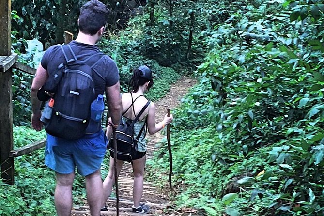 Small-Group Adventure Trek in Grand Etang National Park - Getting There: Hotel Pickup, Air-Conditioned Comfort, and a Smooth Start