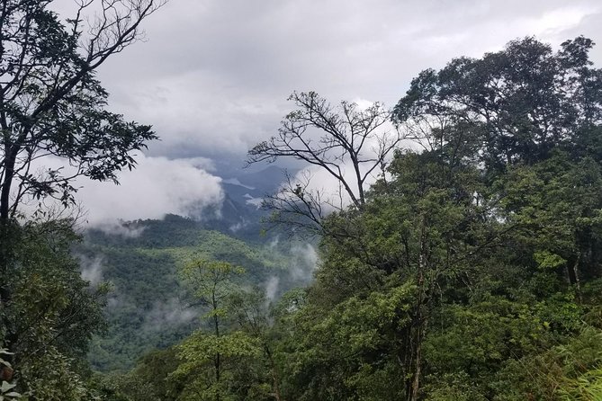 Small Group - Bach Ma National Park Trekking Tour From Hue - The Five Lakes block: picnic lunch, swimming time, and a slower rhythm