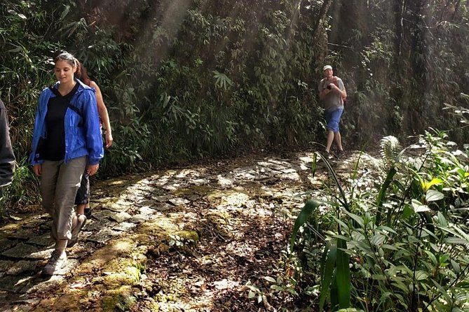 Small Group - Bach Ma National Park Trekking Tour From Hue - Big Buddha and the local life angle: cultural stops without the boring pause