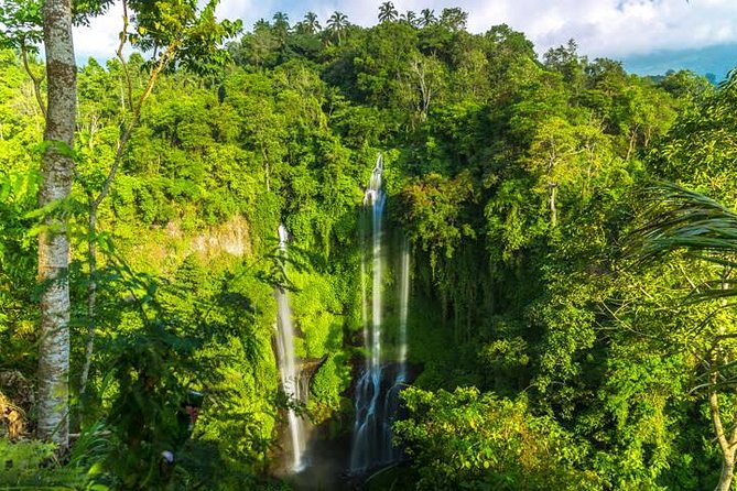 Small-Group Sekumpul Waterfall Jungle Trek with Lunch - The early 5:00am start and the drive from Ubud to the trek zone