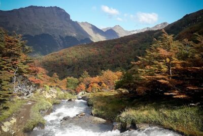 Small group Trekking to Vinciguerra Glacier and Témpanos Lagoon - Fuegian forest to Laguna de los Tempanos: the steady work section