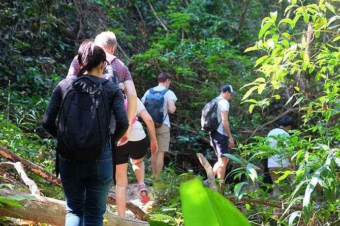 Small Group : Trekking Trip in Chiang Mai (Doi Suthep Area) with Market Tour - Morning Fresh Market and Doi Suthep Temple: the day’s setup